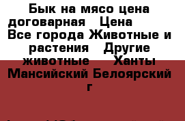 Бык на мясо цена договарная › Цена ­ 300 - Все города Животные и растения » Другие животные   . Ханты-Мансийский,Белоярский г.